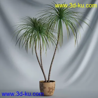 盆景模型,盆栽模型,鲜花模型,花瓶模型,玫瑰,仙人掌,百合等模型20个的图片6