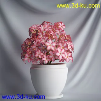 盆景模型,盆栽模型,鲜花模型,花瓶模型,玫瑰,仙人掌,百合等模型20个的图片7