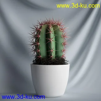 盆景模型,盆栽模型,鲜花模型,花瓶模型,玫瑰,仙人掌,百合等模型20个的图片8