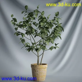 盆景模型,盆栽模型,鲜花模型,花瓶模型,玫瑰,仙人掌,百合等模型20个的图片