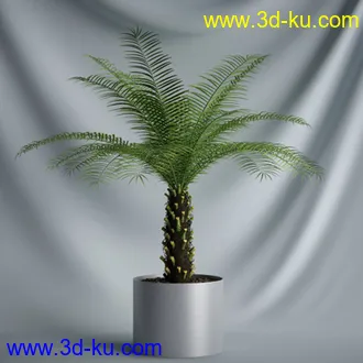 盆景模型,盆栽模型,鲜花模型,花瓶模型,玫瑰,仙人掌,百合等模型20个的图片