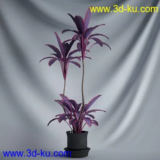 盆景模型,盆栽模型,鲜花模型,花瓶模型,玫瑰,仙人掌,百合等模型20个的图片