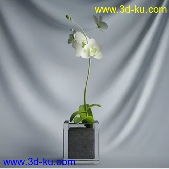 盆景模型,盆栽模型,鲜花模型,花瓶模型,玫瑰,仙人掌,百合等模型20个的图片