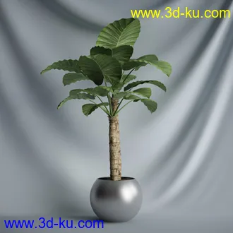 盆景模型,盆栽模型,鲜花模型,花瓶模型,玫瑰,仙人掌,百合等模型20个的图片