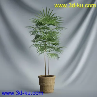 盆景模型,盆栽模型,鲜花模型,花瓶模型,玫瑰,仙人掌,百合等模型20个的图片