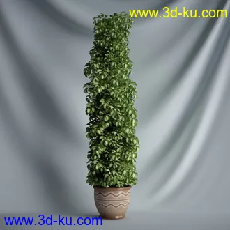 盆景模型,盆栽模型,鲜花模型,花瓶模型,玫瑰,仙人掌,百合等模型20个的图片