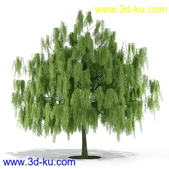 树模型,各种树模型合集,共20个的图片