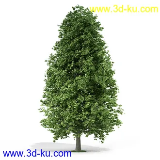 树模型,各种树模型合集,共20个的图片