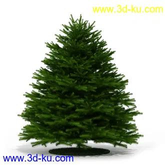 树模型,各种树模型合集,共20个的图片