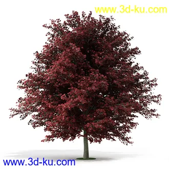 树模型,各种树模型合集,共20个的图片