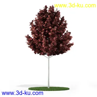 树模型,各种树模型合集,共20个的图片