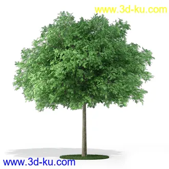 树模型,各种树模型合集,共20个的图片