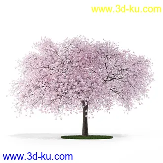 树模型,各种树模型合集,共20个的图片