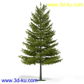 树模型,各种树模型合集,共20个的图片