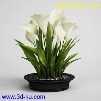 花模型,鲜花,花瓶,花篮,花卉,玫瑰,菊花,向日葵,兰花,百合,等25个花模型的图片