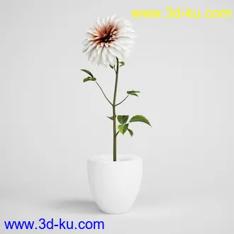 花模型,鲜花,花瓶,花篮,花卉,玫瑰,菊花,向日葵,兰花,百合,等25个花模型的图片