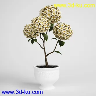 花模型,鲜花,花瓶,花篮,花卉,玫瑰,菊花,向日葵,兰花,百合,等25个花模型的图片