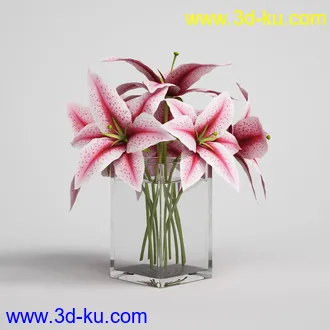 花模型,鲜花,花瓶,花篮,花卉,玫瑰,菊花,向日葵,兰花,百合,等25个花模型的图片