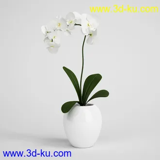 花模型,鲜花,花瓶,花篮,花卉,玫瑰,菊花,向日葵,兰花,百合,等25个花模型的图片