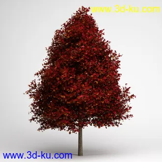 树合集模型,枫树,松树,圣诞树,桦树,榕树,柳树,橡树等模型25个的图片