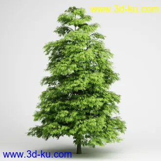 树合集模型,枫树,松树,圣诞树,桦树,榕树,柳树,橡树等模型25个的图片