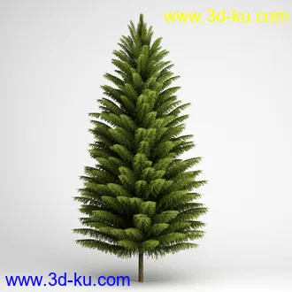 树合集模型,枫树,松树,圣诞树,桦树,榕树,柳树,橡树等模型25个的图片