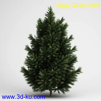 树合集模型,枫树,松树,圣诞树,桦树,榕树,柳树,橡树等模型25个的图片