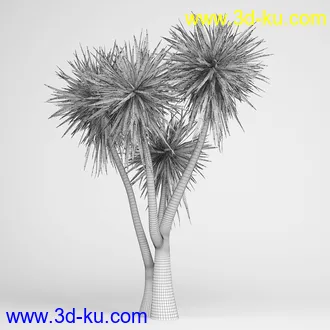 亚热带树木模型合集,椰树,铁树,芭蕉树,面包树,果树等模型20个的图片3