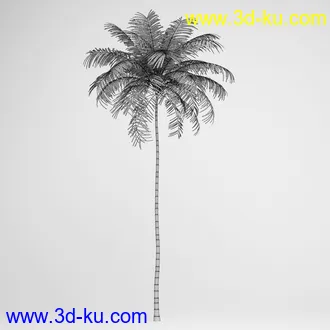 亚热带树木模型合集,椰树,铁树,芭蕉树,面包树,果树等模型20个的图片5