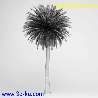 亚热带树木模型合集,椰树,铁树,芭蕉树,面包树,果树等模型20个的图片8