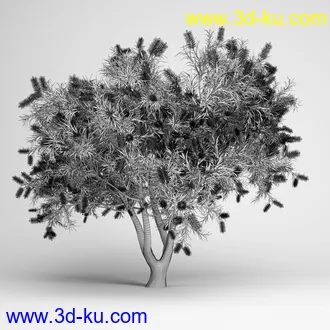 亚热带树木模型合集,椰树,铁树,芭蕉树,面包树,果树等模型20个的图片9