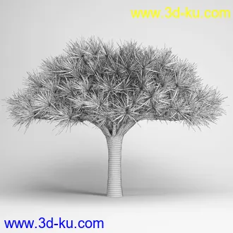 亚热带树木模型合集,椰树,铁树,芭蕉树,面包树,果树等模型20个的图片12