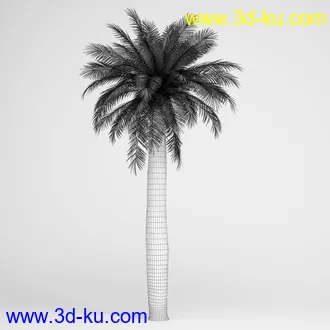 亚热带树木模型合集,椰树,铁树,芭蕉树,面包树,果树等模型20个的图片13