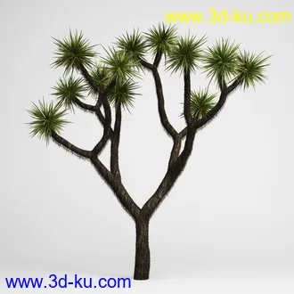 亚热带树木模型合集,椰树,铁树,芭蕉树,面包树,果树等模型20个的图片16