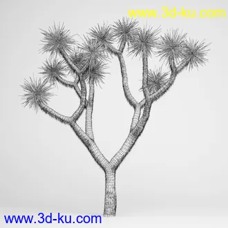 亚热带树木模型合集,椰树,铁树,芭蕉树,面包树,果树等模型20个的图片18