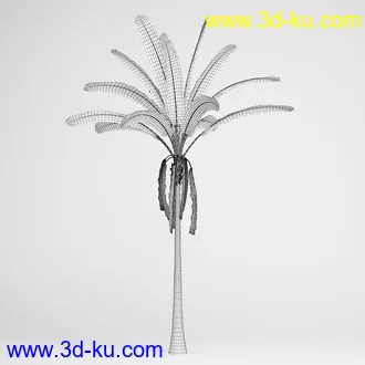 亚热带树木模型合集,椰树,铁树,芭蕉树,面包树,果树等模型20个的图片20