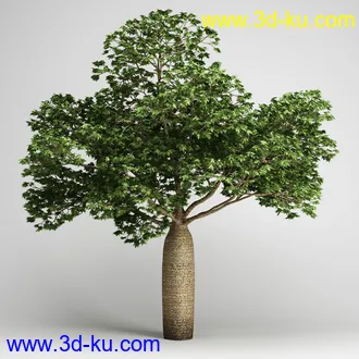 亚热带树木模型合集,椰树,铁树,芭蕉树,面包树,果树等模型20个的图片23