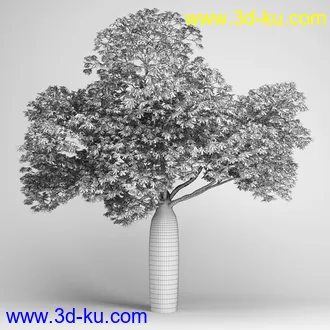 亚热带树木模型合集,椰树,铁树,芭蕉树,面包树,果树等模型20个的图片