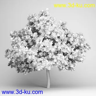 亚热带树木模型合集,椰树,铁树,芭蕉树,面包树,果树等模型20个的图片