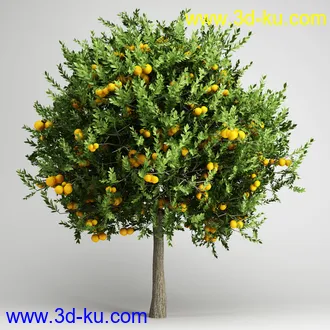 亚热带树木模型合集,椰树,铁树,芭蕉树,面包树,果树等模型20个的图片