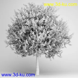 亚热带树木模型合集,椰树,铁树,芭蕉树,面包树,果树等模型20个的图片