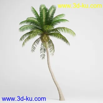 亚热带树木模型合集,椰树,铁树,芭蕉树,面包树,果树等模型20个的图片