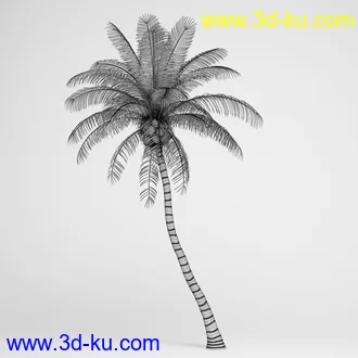 亚热带树木模型合集,椰树,铁树,芭蕉树,面包树,果树等模型20个的图片