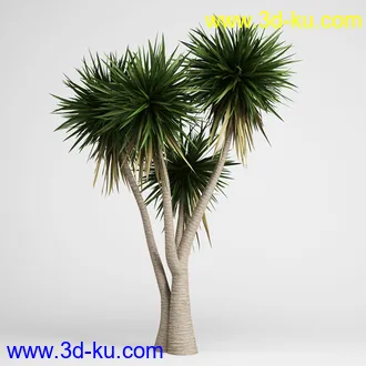 亚热带树木模型合集,椰树,铁树,芭蕉树,面包树,果树等模型20个的图片