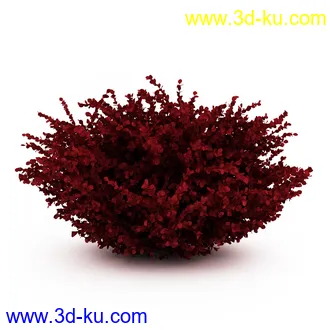 园林植物,观赏植物,庭园植物,园艺,造型植物,草丛,滕迈,灌木,花卉,矮树,杂草,鲜花等模型35个的图片