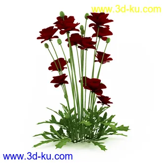 园林植物,观赏植物,庭园植物,园艺,造型植物,草丛,滕迈,灌木,花卉,矮树,杂草,鲜花等模型35个的图片5