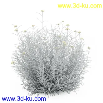 园林植物,观赏植物,庭园植物,园艺,造型植物,草丛,滕迈,灌木,花卉,矮树,杂草,鲜花等模型35个的图片6