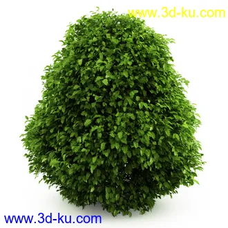 园林植物,观赏植物,庭园植物,园艺,造型植物,草丛,滕迈,灌木,花卉,矮树,杂草,鲜花等模型35个的图片10