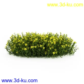 园林植物,观赏植物,庭园植物,园艺,造型植物,草丛,滕迈,灌木,花卉,矮树,杂草,鲜花等模型35个的图片13