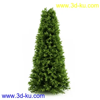 园林植物,观赏植物,庭园植物,园艺,造型植物,草丛,滕迈,灌木,花卉,矮树,杂草,鲜花等模型35个的图片15